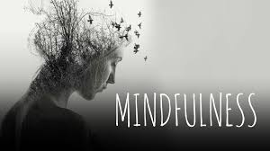 Súper Pack de Alto Valor – Mindfulness, Meditación & Conciencia