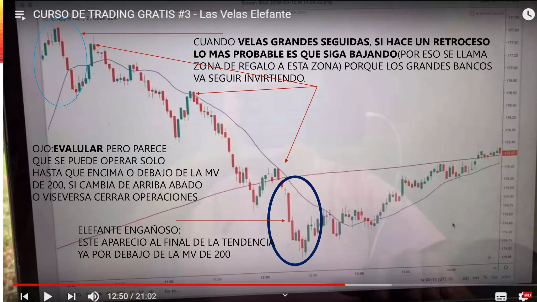 Swing Trading de forex de oliver velez 2025 y Y complete Trader Program 2025 - Image 14